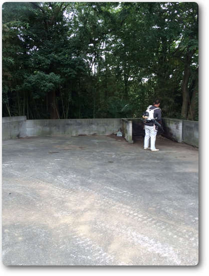 奉仕活動