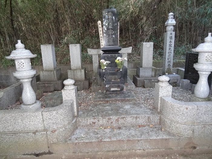 画像の説明