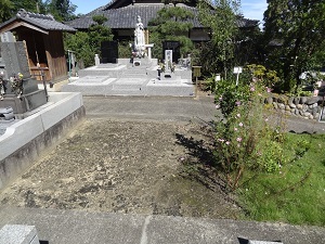 画像の説明