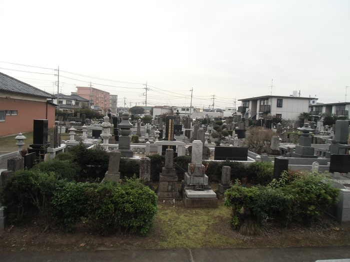 画像の説明