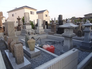 画像の説明