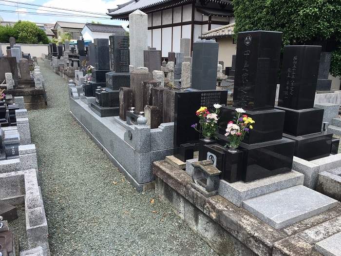 画像の説明