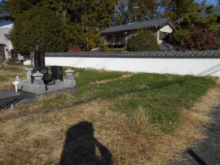 画像の説明
