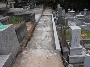 画像の説明