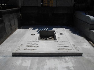 画像の説明