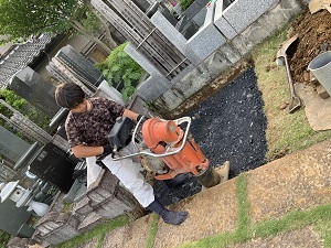 画像の説明
