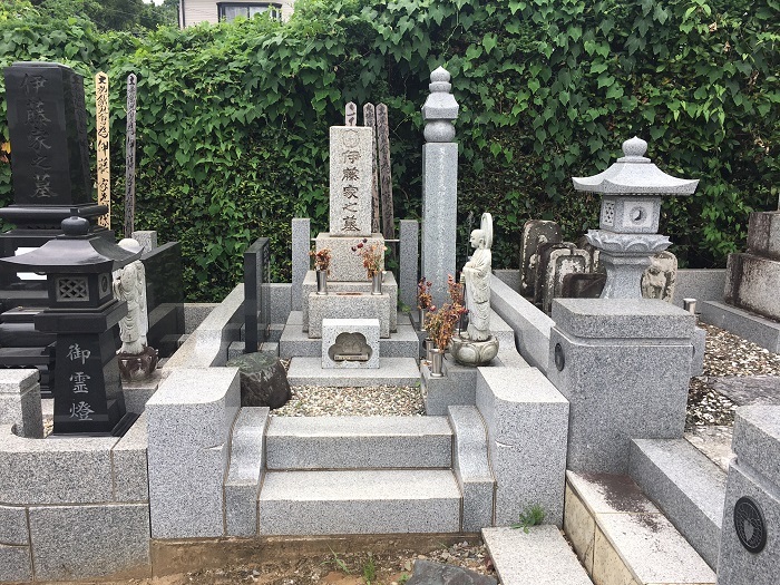画像の説明