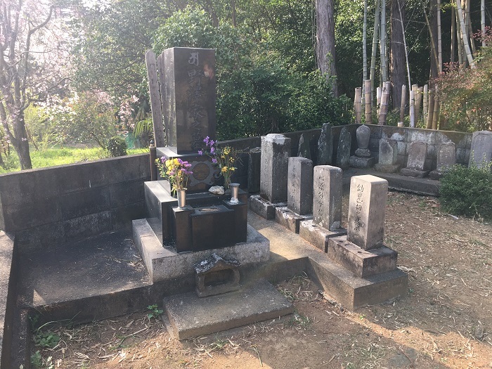 画像の説明