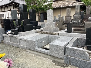 画像の説明