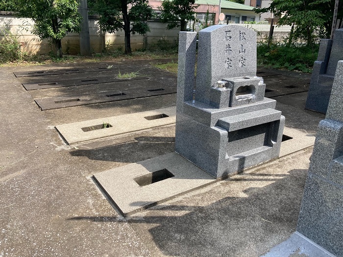 画像の説明
