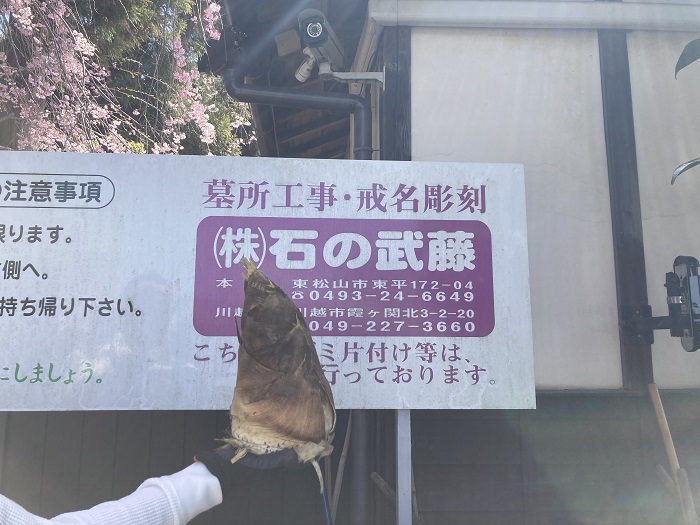 画像の説明