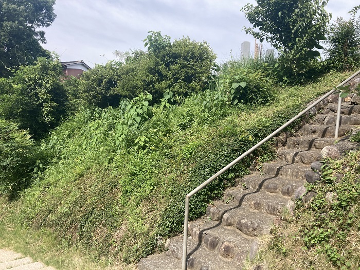 画像の説明