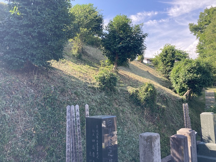 画像の説明